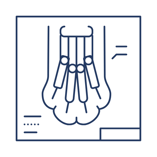catxray-icon